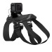 Кріплення GoPro Fetch (ADOGM-001)