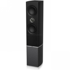 Tannoy Platinum F6 Black