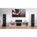 Фронтальні акустичні колонки Polk audio Reserve R700 Black