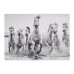 Моноблочна акустична система IKEA SYMFONISK Picture Frame White/spirited splashing smart (595.200.65)