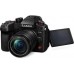 бездзеркальний фотоапарат Panasonic Lumix DC-GH6 kit 12-60mm f/3.5-5.6 (DC-GH6MEE) бездзеркальний фотоапарат Panasonic Lumix DC-GH6 kit 12-60mm f/3.5-5.6 (DC-GH6MEE)